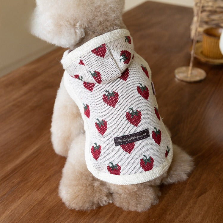 Strawberry Printed Hooded Dog Cat Cape