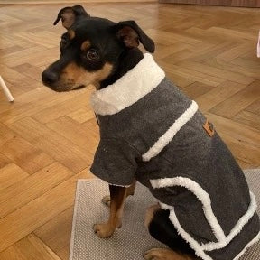 Furry Warm Dog Coat